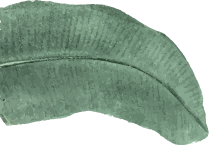 decoration